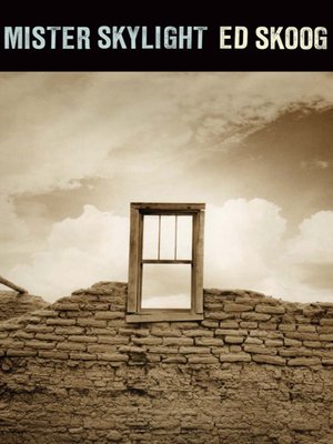 cover image of Mister Skylight